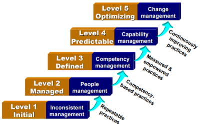 PCCM Maturity Levels